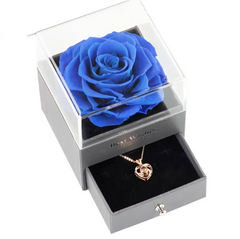 Blue rose in a clear box with a drawer containing a gold necklace on a white background