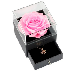 Pink rose in a transparent box with a matching necklace on a white background