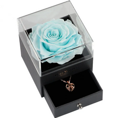 Light blue rose in a transparent box with a heart-shaped necklace inside on a white background