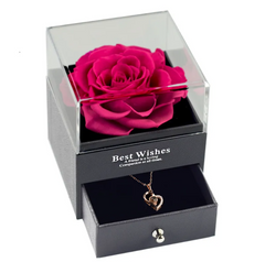 Pink rose in a transparent box with a heart-shaped necklace inside, on a white background