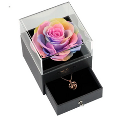 Multicolored rose in a jewelry box with a necklace featuring a rose pendant.