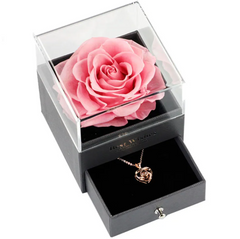 Pink rose in a transparent box with a necklace inside on a white background
